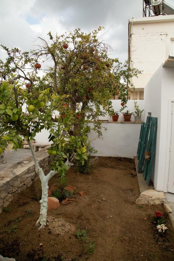 Villa Iliopetra House à Sívas Extérieur photo